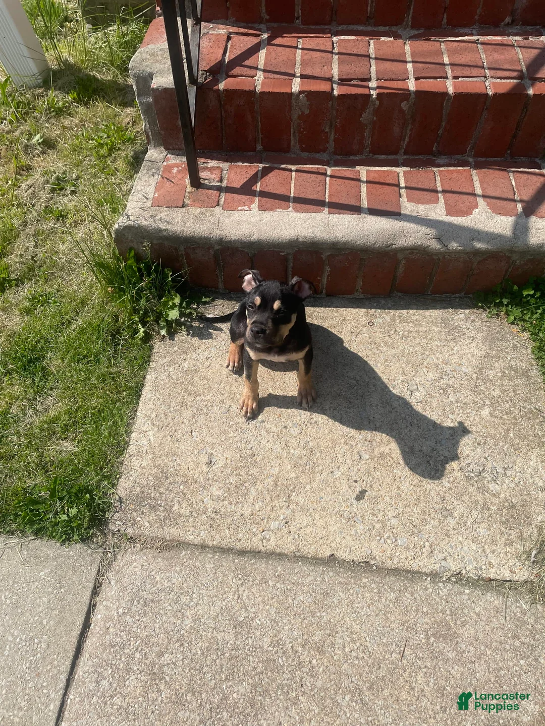 Gallery Image {{count}}