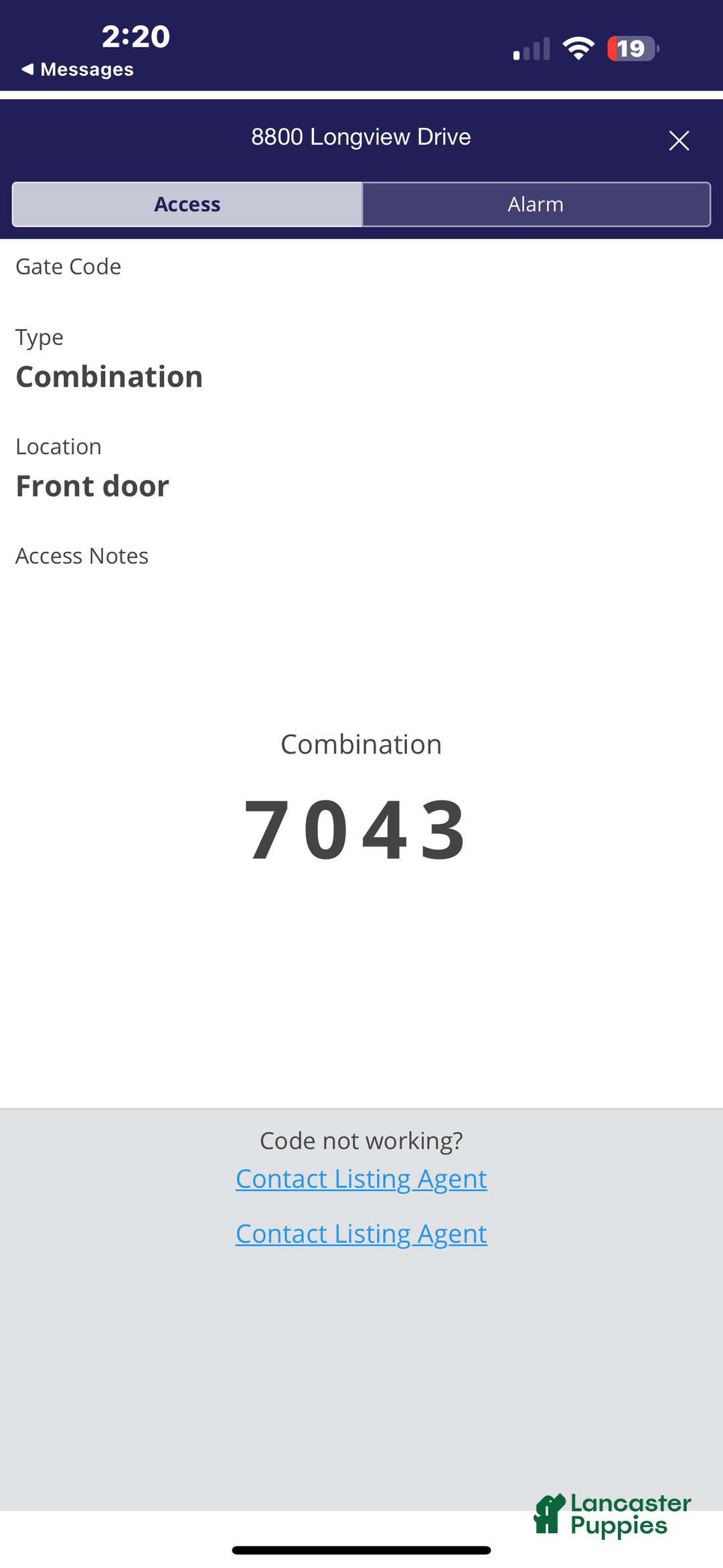 Coton De Tulear dogs for sale: Coton De Tulear Puppy 2 - Ad 7