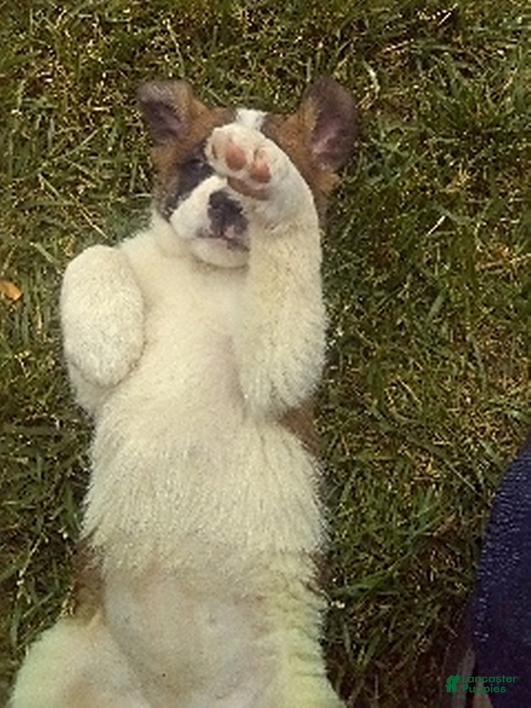 Gallery Image {{count}}