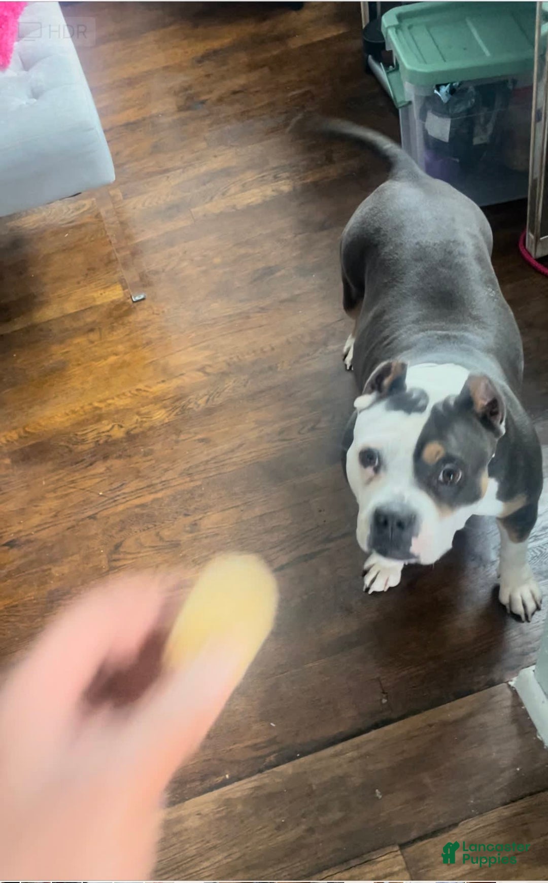 Gallery Image {{count}}