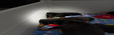 Rottweiler 5