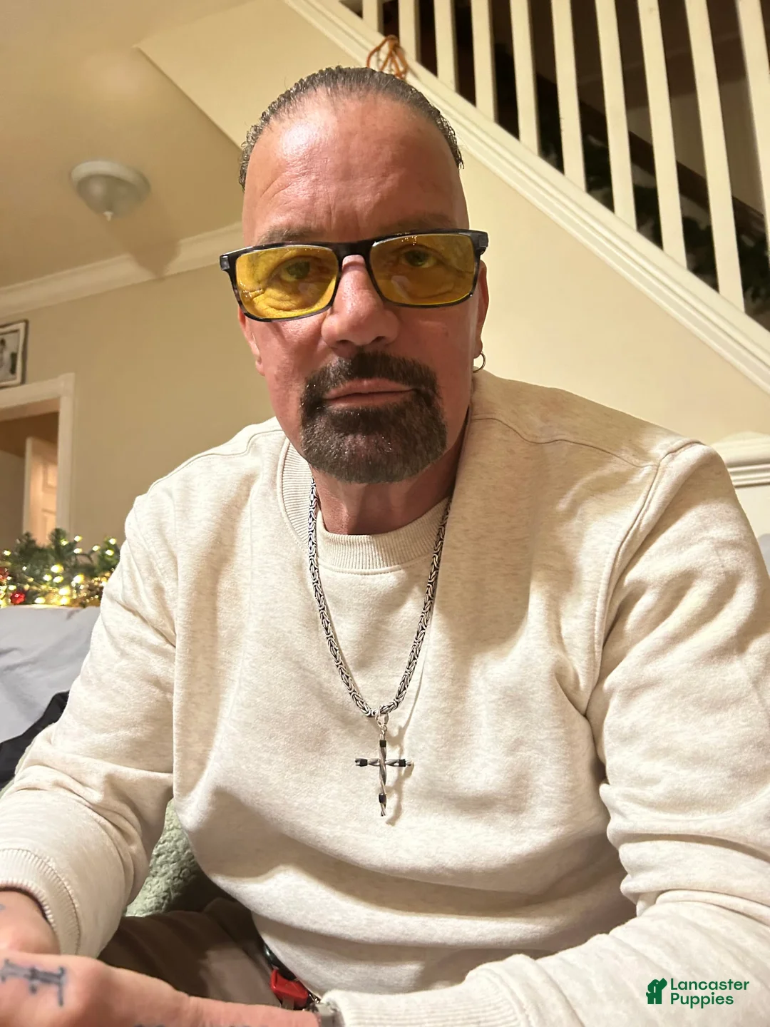 Gallery Image {{count}}