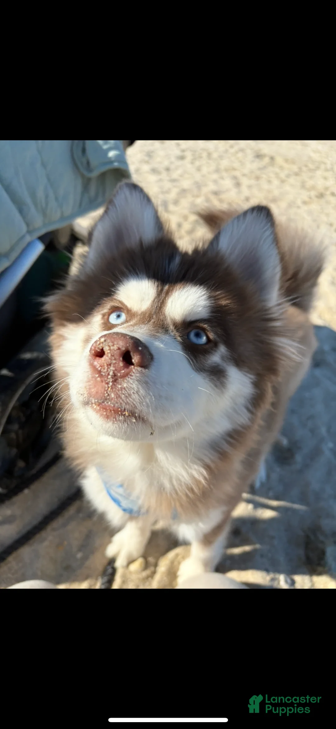 Gallery Image {{count}}