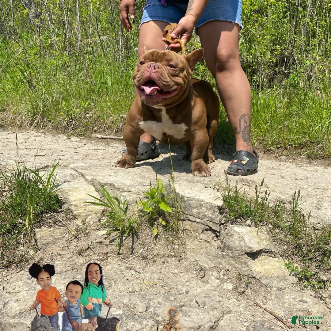 Gallery Image {{count}}