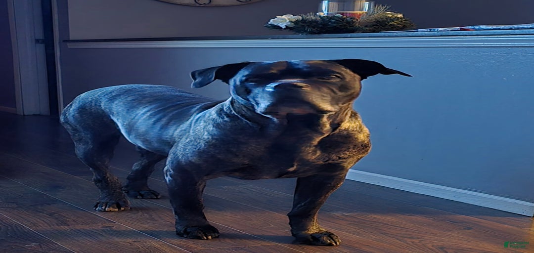 Gallery Image {{count}}