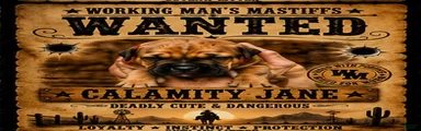 Calamity Jane