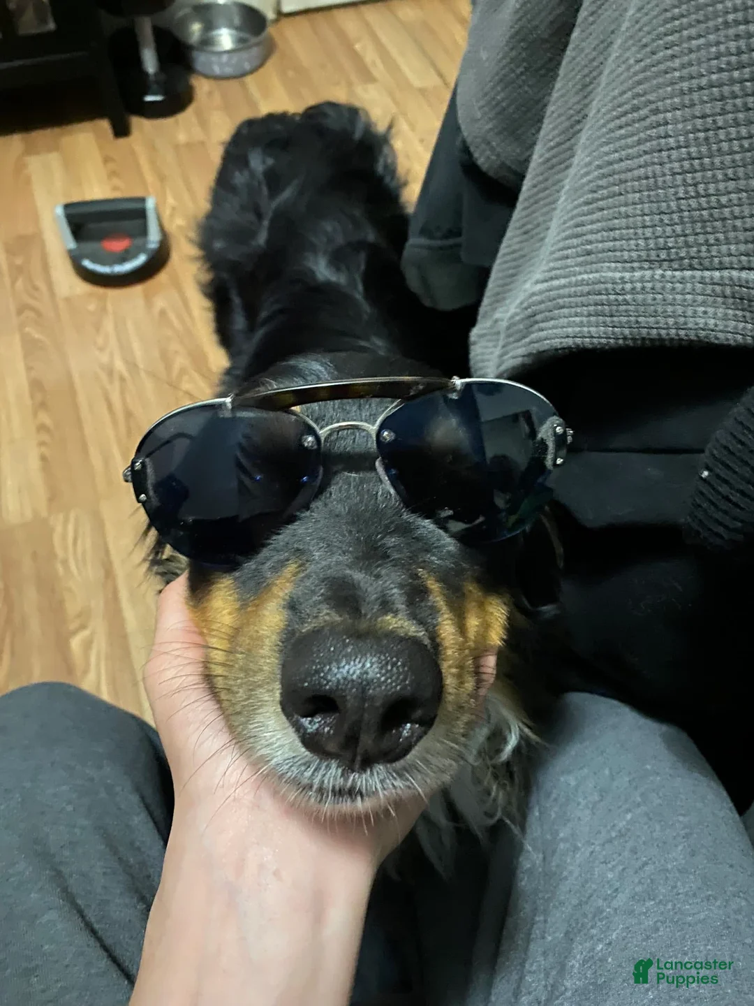 Gallery Image {{count}}