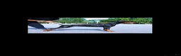 Doberman Pinscher dogs for sale: Doberman Pinscher 1 - Ad 4