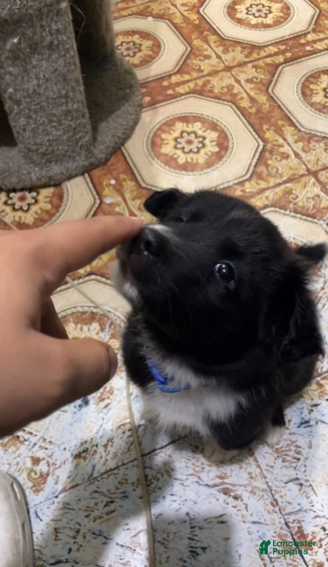 Gallery Image {{count}}