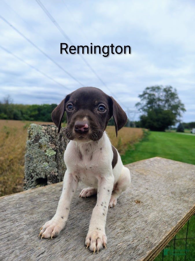 Remington