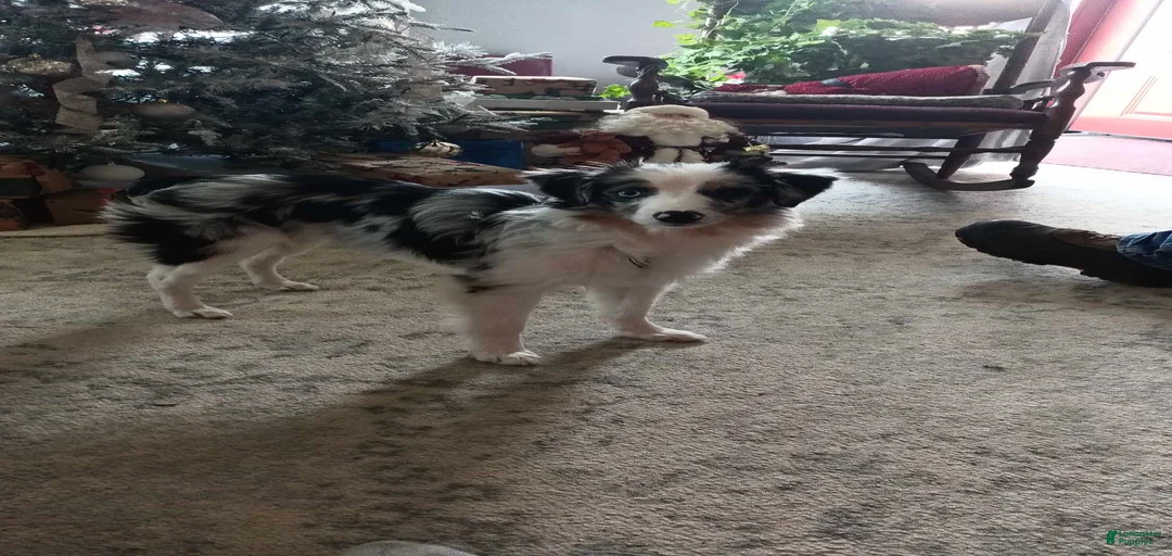 Gallery Image {{count}}