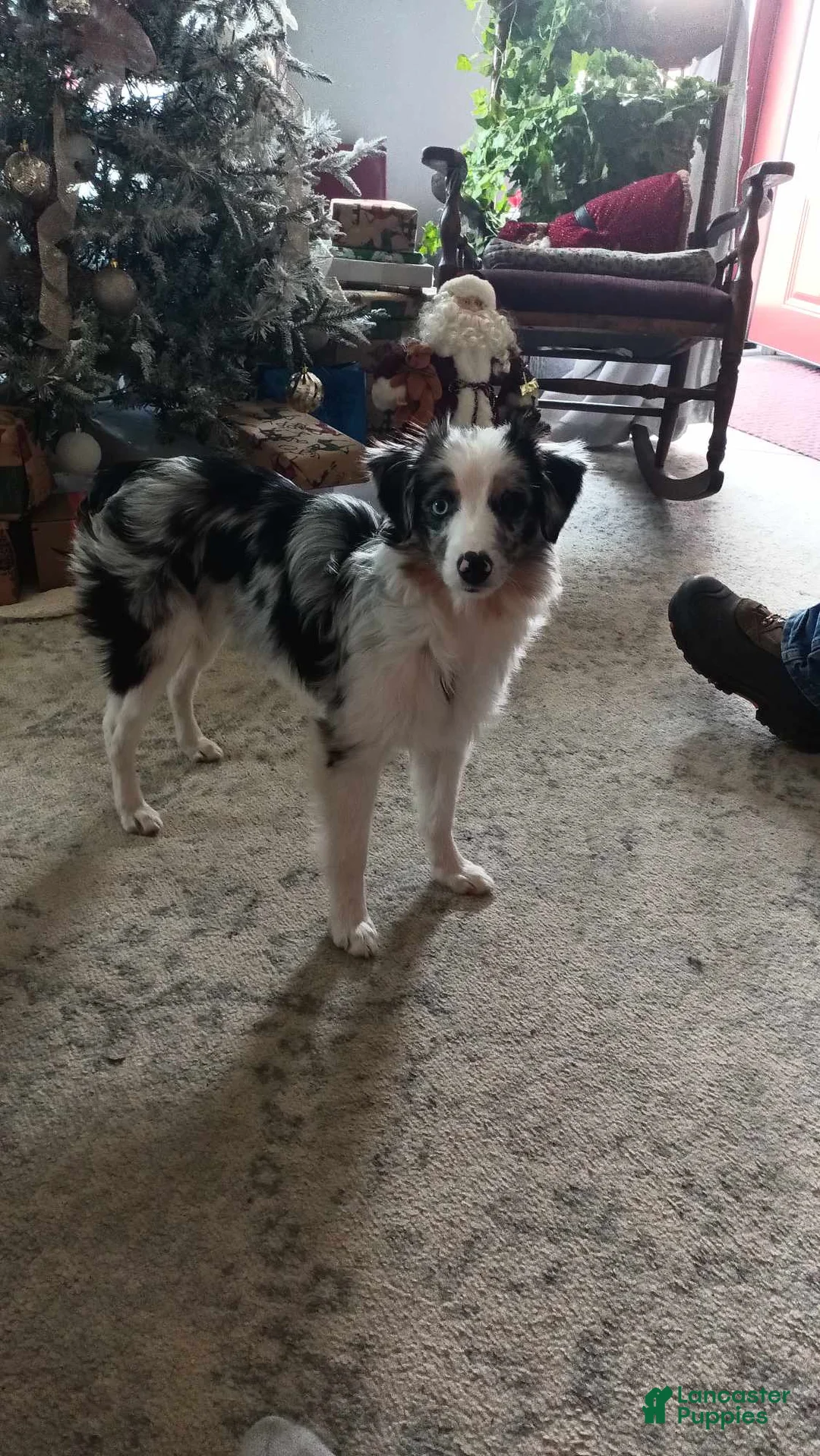 Gallery Image {{count}}