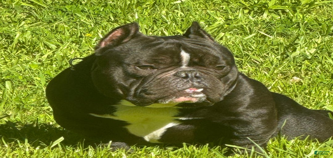 Gallery Image {{count}}