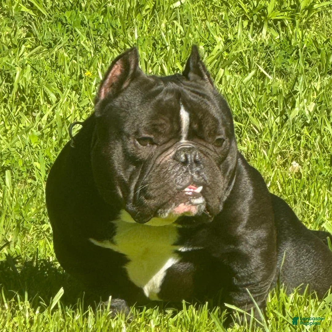 Gallery Image {{count}}