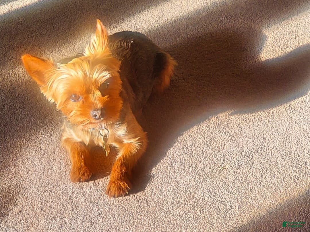 Gallery Image {{count}}