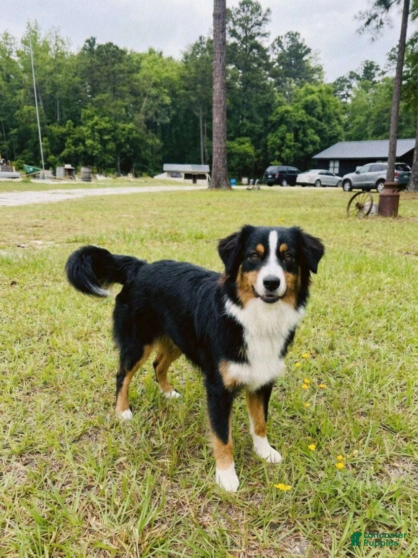 Luna
