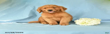 Melvin