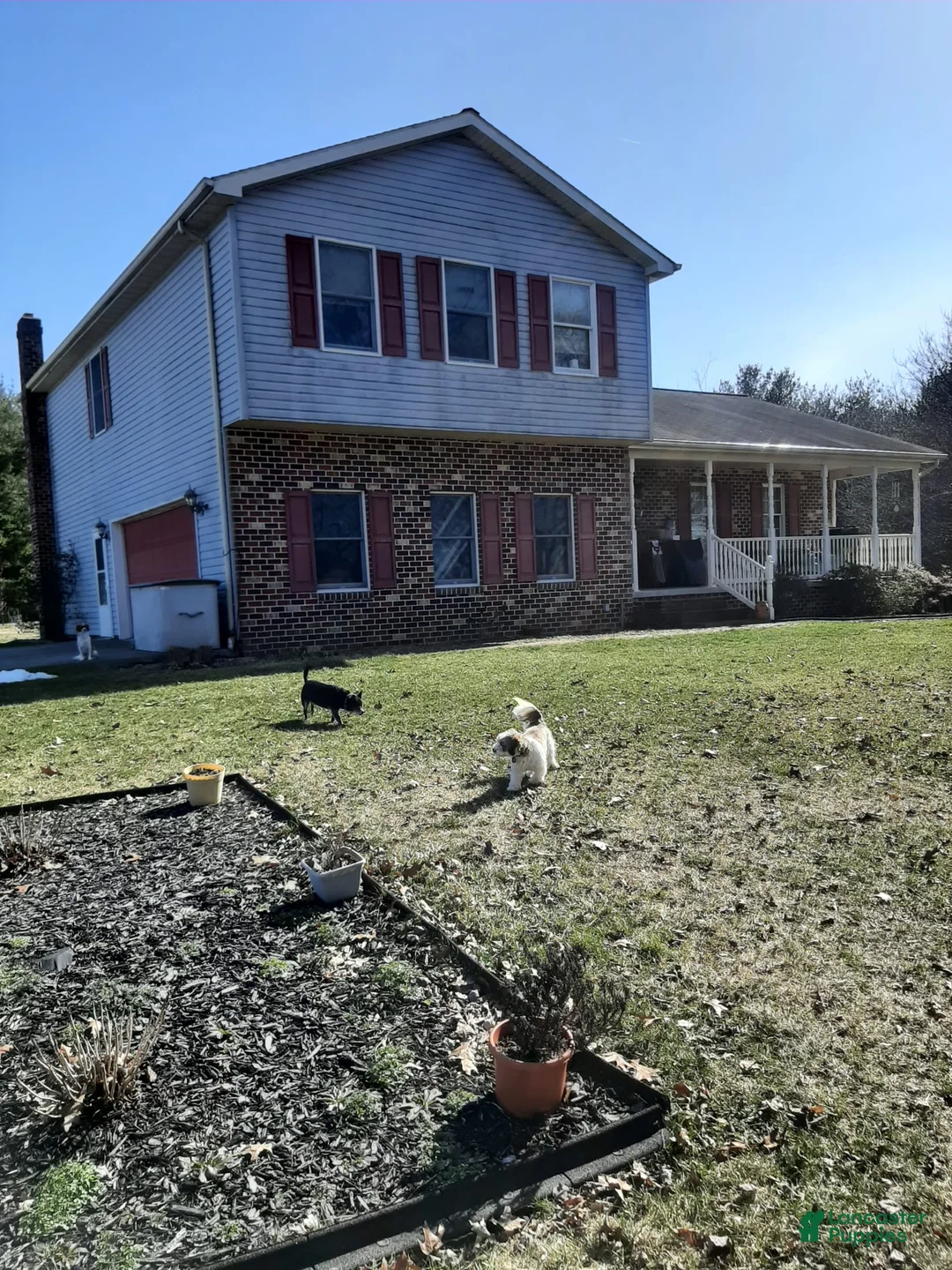 Gallery Image {{count}}