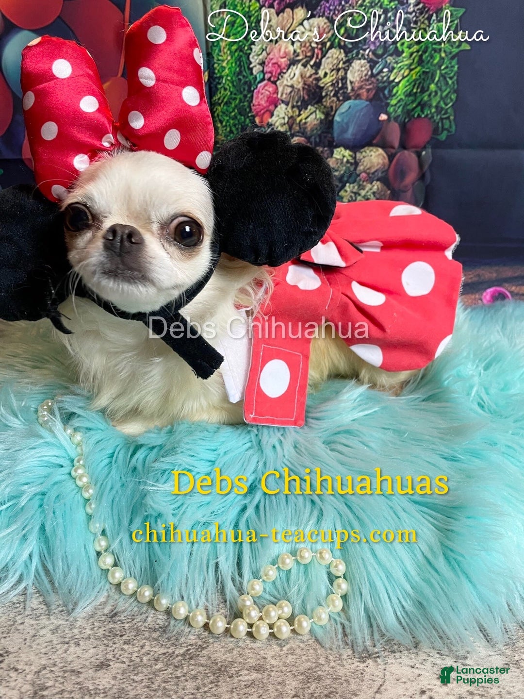 Gallery Image {{count}}