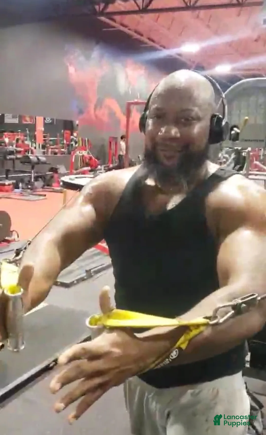 Gallery Image {{count}}