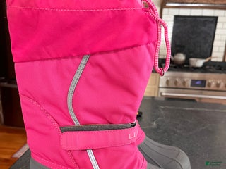 Greater Swiss Mountain Dog dogs Violet🐾❤️AKC Hip CERT ❤️🐾Call 717-859-8731 - Ad 12