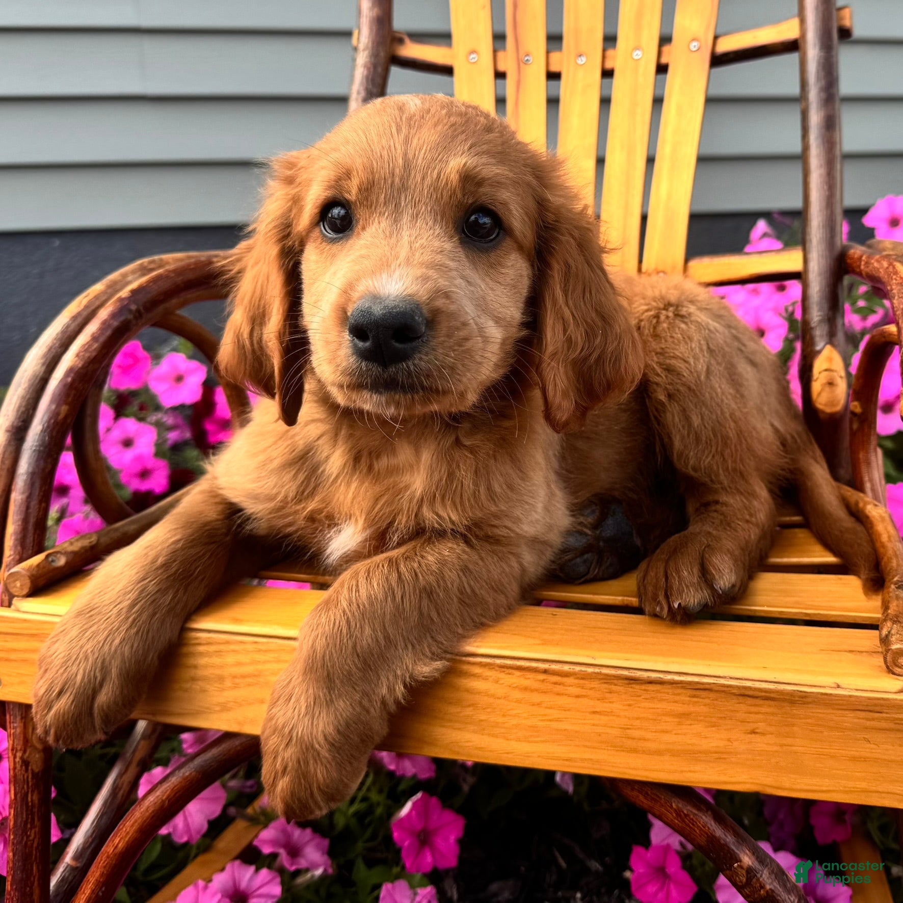 Copper