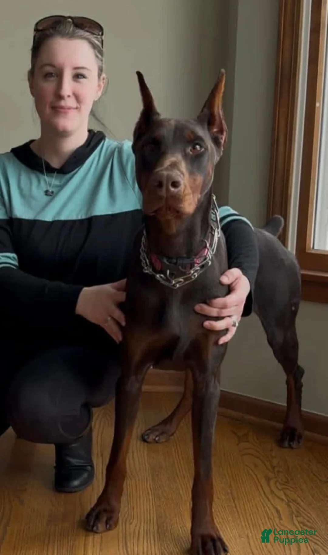 Gallery Image {{count}}