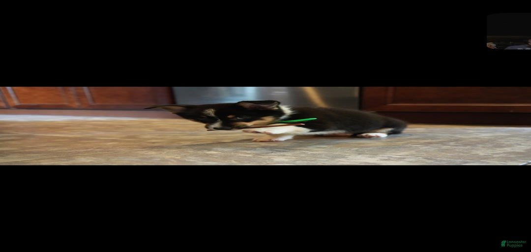 Gallery Image {{count}}