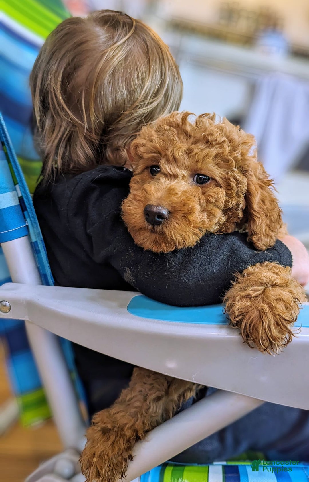 Gallery Image {{count}}