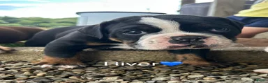 River