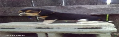 Sam
