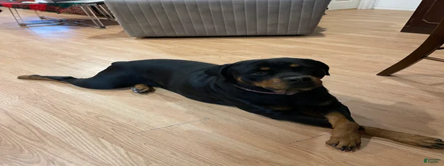 Maggie 
