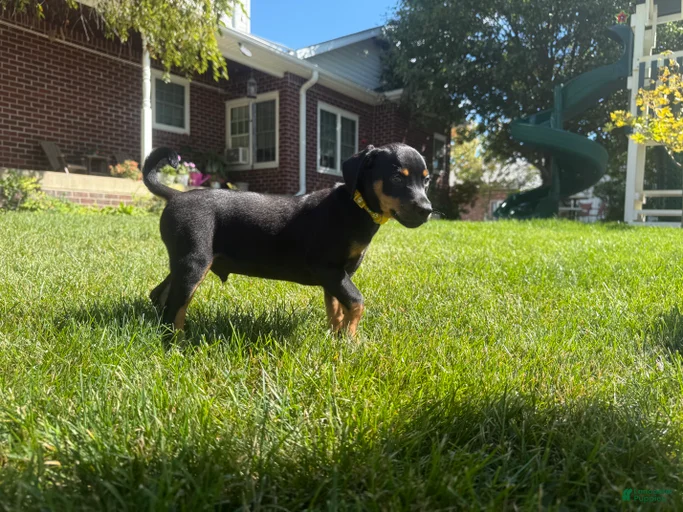 Gallery Image {{count}}