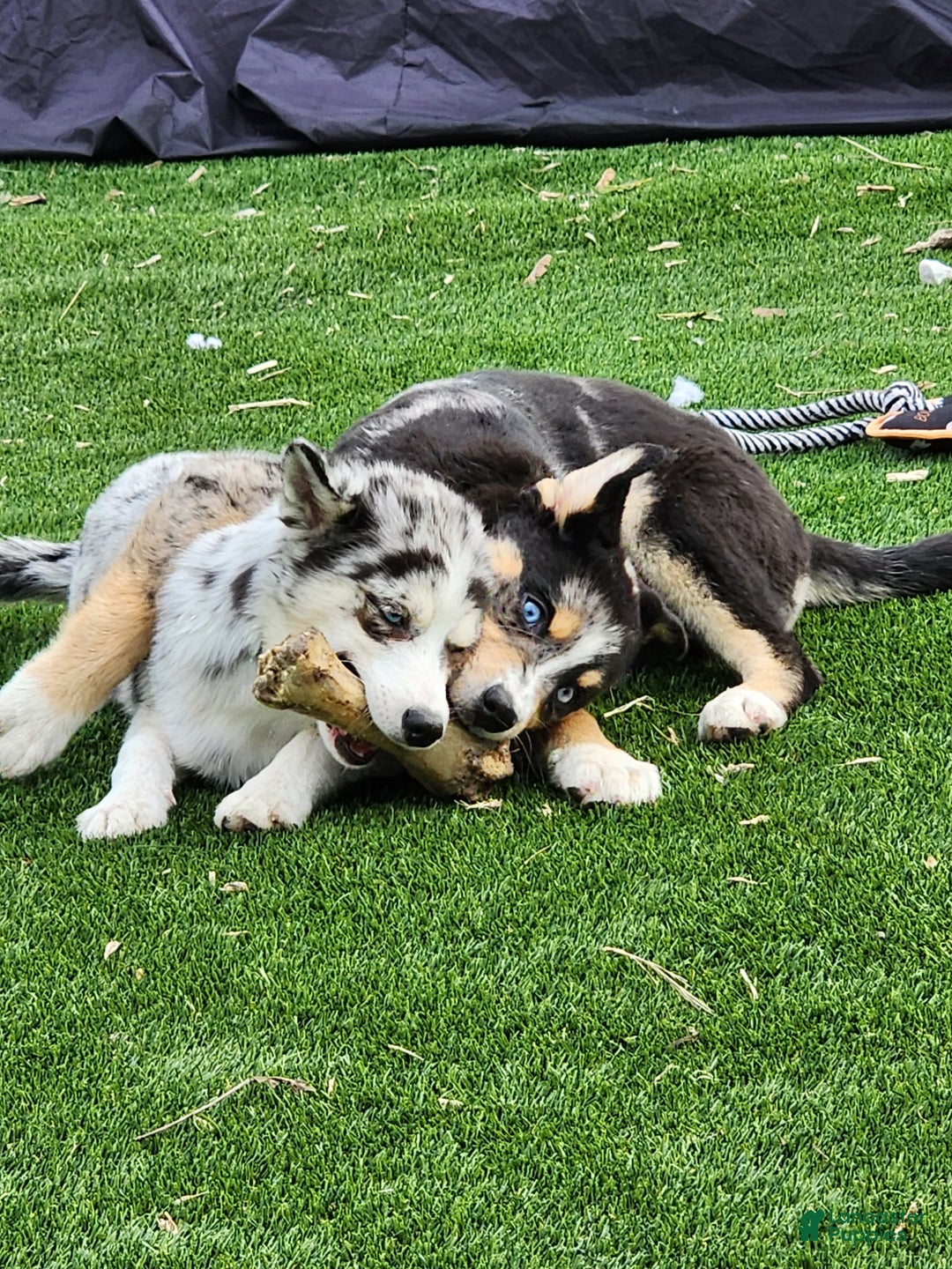 Gallery Image {{count}}