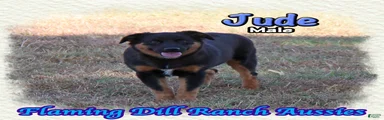 Jude
