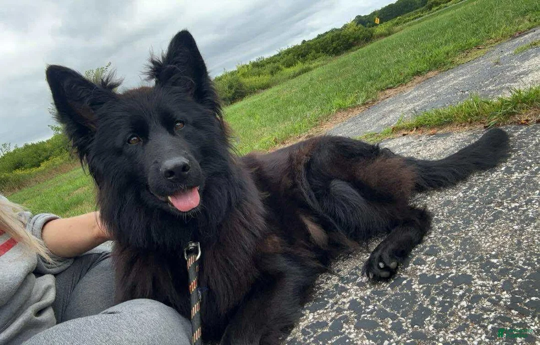 Gallery Image {{count}}