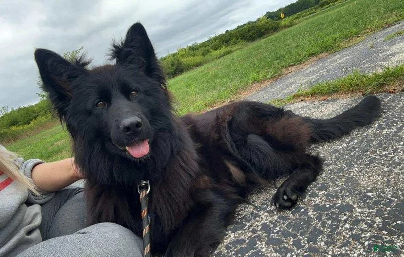 Gallery Image {{count}}