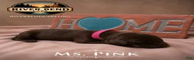 Ms. Pink