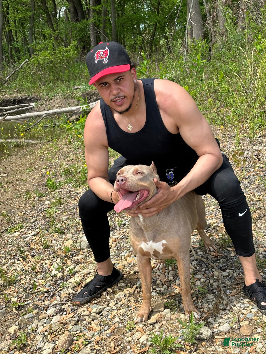 Gallery Image {{count}}