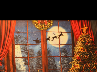 Great Dane dogs for sale: Great Dane Puppy 4 - Ad 1