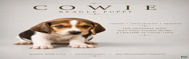 Beagle 1