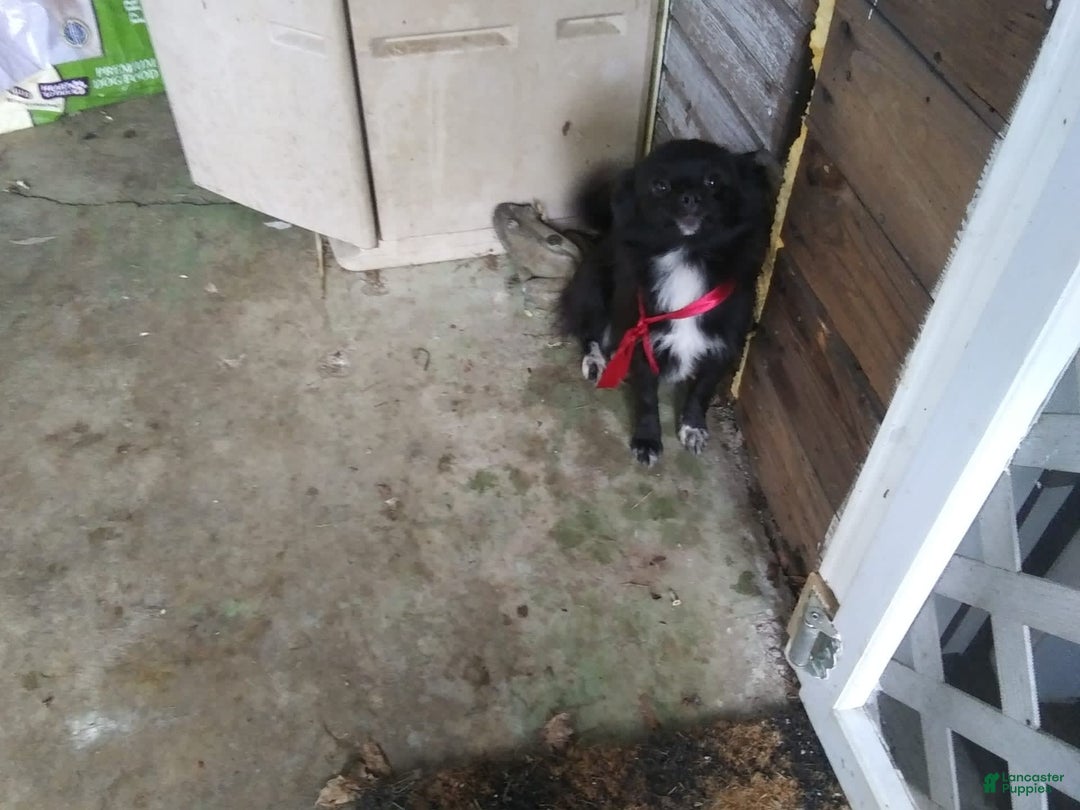 Gallery Image {{count}}