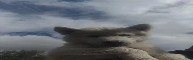 Alaskan Husky 4
