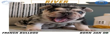 River