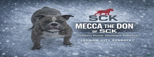 Mecca