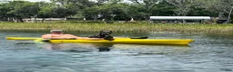 Cane Corso dogs for sale: Monte Carlo  - Ad 21