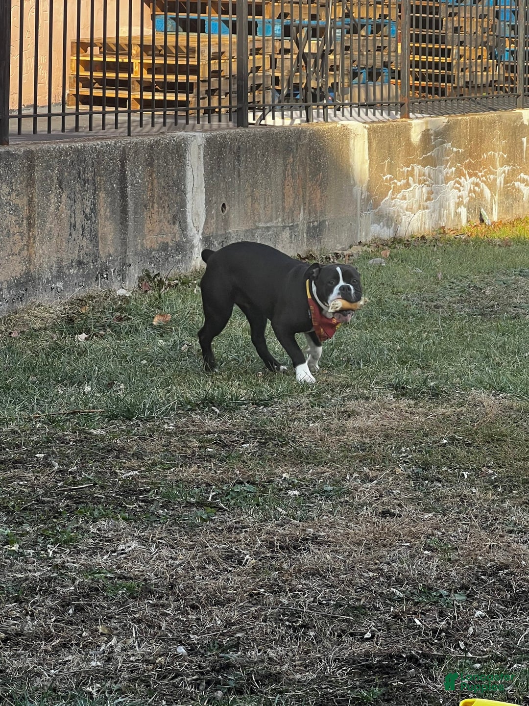 Gallery Image {{count}}