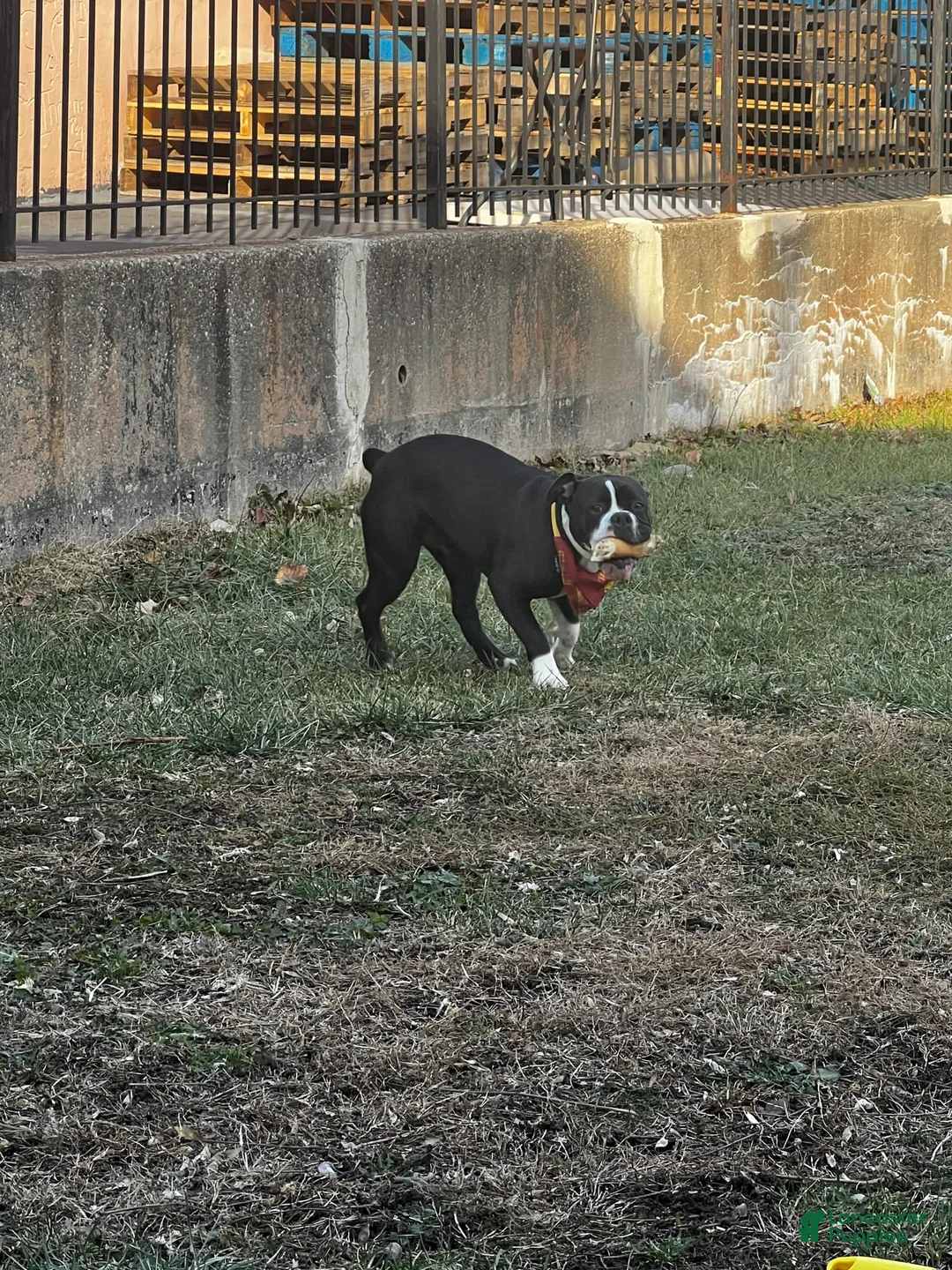 Gallery Image {{count}}