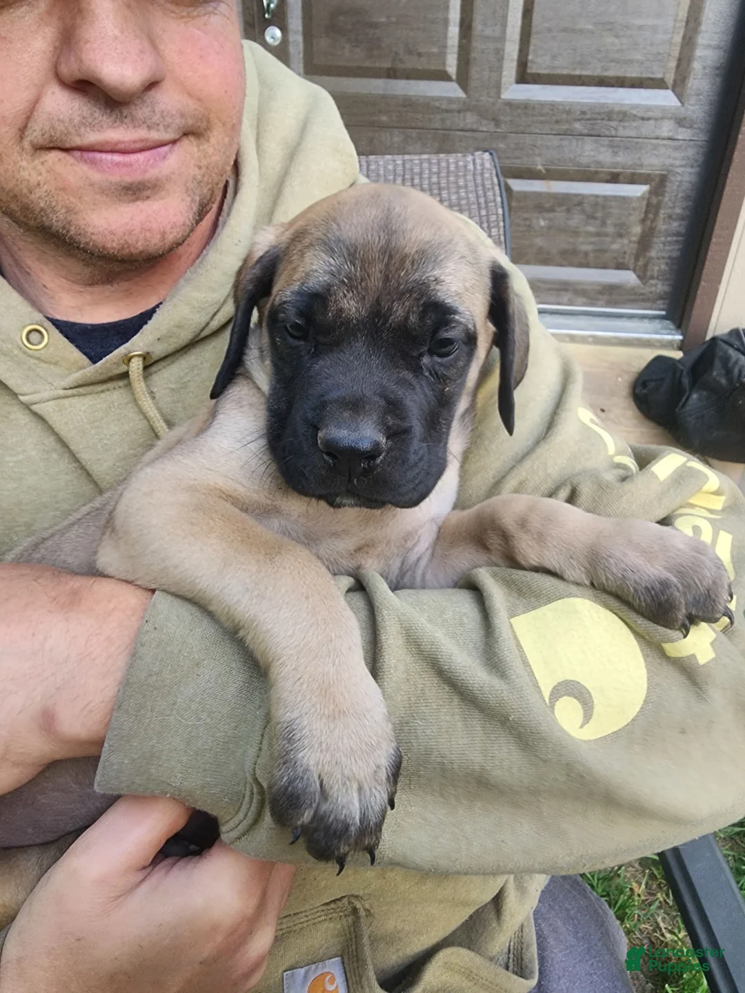 Gallery Image {{count}}