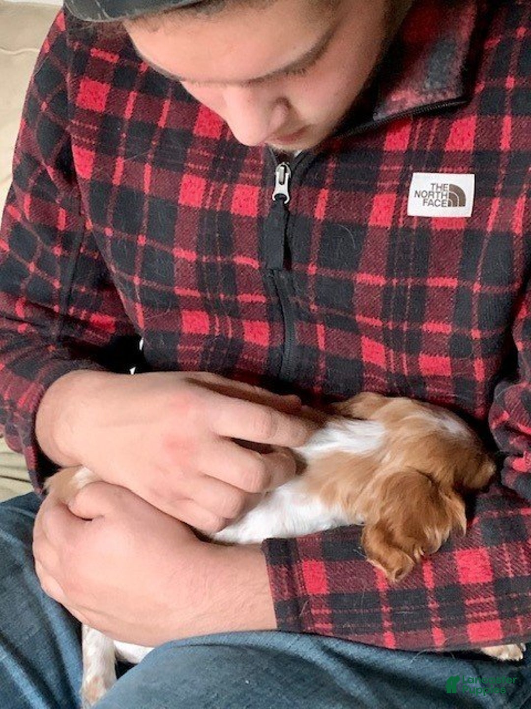 Gallery Image {{count}}